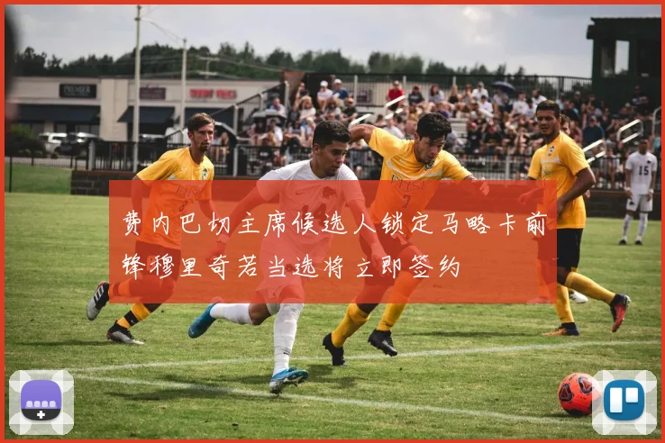 费内巴切主席候选人锁定马略卡前锋穆里奇若当选将立即签约