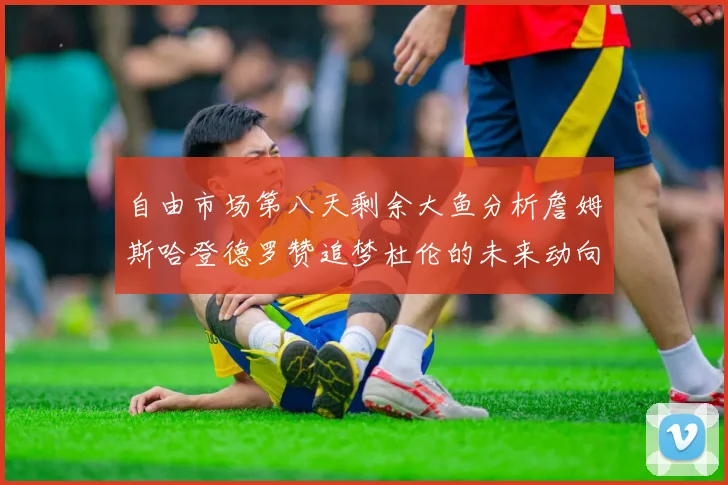 自由市场第八天剩余大鱼分析詹姆斯哈登德罗赞追梦杜伦的未来动向