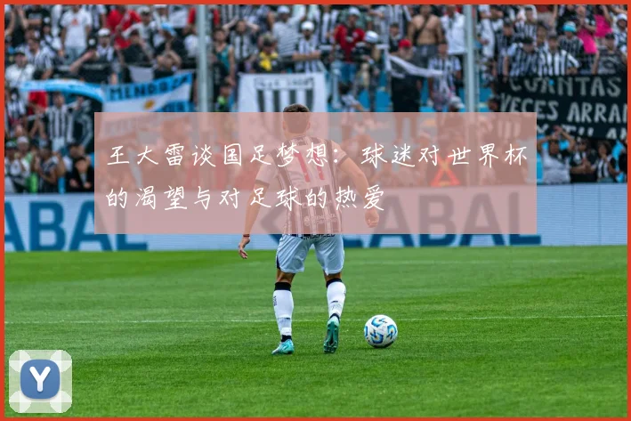 王大雷谈国足梦想：球迷对世界杯的渴望与对足球的热爱